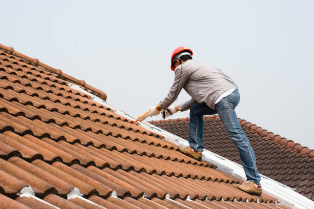 Best Roof Moss and Algae Removal  in Lakesite, TN